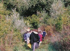 esploriamo il bosco