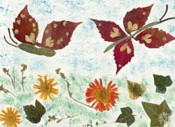 farfalle di foglie