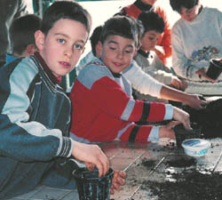 preparazione vasetti