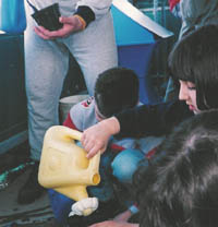 innaffiatura